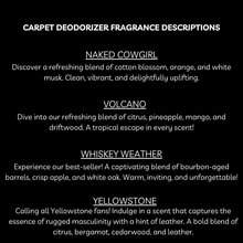 Load image into Gallery viewer, Carpet & Upholstery Deodorizer - Highly Scented - Eliminate Odors