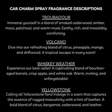 Load image into Gallery viewer, Scented Car Charm Fragrance Spray - Keep Car Smelling Fresh