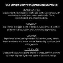 Load image into Gallery viewer, Scented Car Charm Fragrance Spray - Keep Car Smelling Fresh
