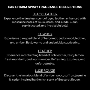 Scented Car Charm Fragrance Spray - Keep Car Smelling Fresh