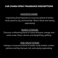 Load image into Gallery viewer, Scented Car Charm Fragrance Spray - Keep Car Smelling Fresh
